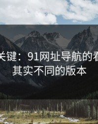 冷门但关键：91网址导航的看似重复其实不同的版本