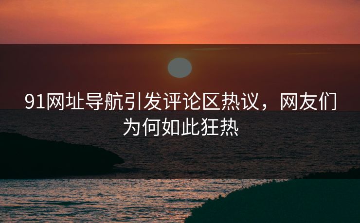 91网址导航引发评论区热议，网友们为何如此狂热