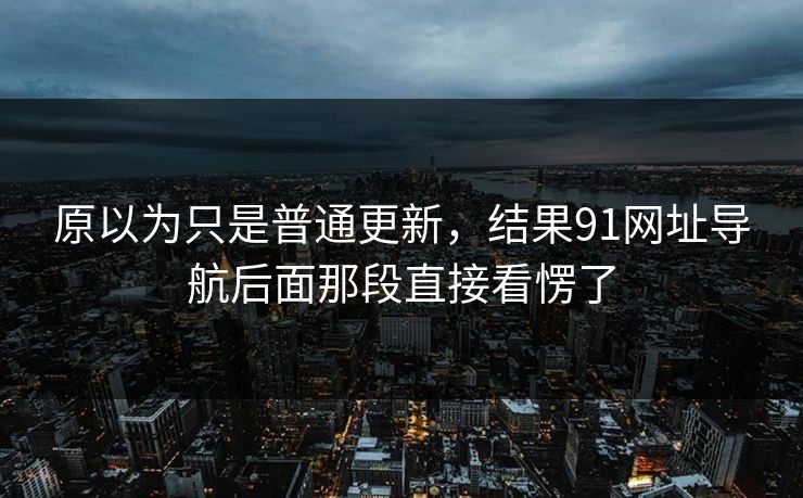 原以为只是普通更新，结果91网址导航后面那段直接看愣了