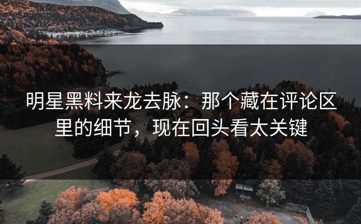 明星黑料来龙去脉：那个藏在评论区里的细节，现在回头看太关键