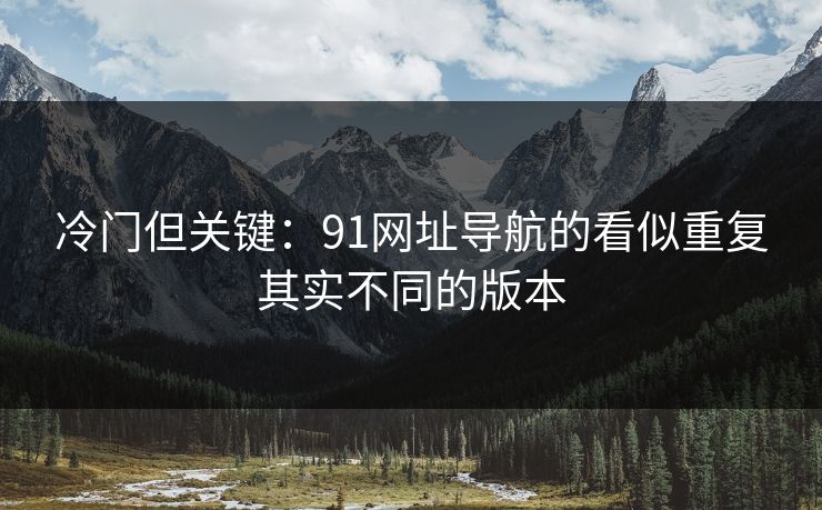 冷门但关键：91网址导航的看似重复其实不同的版本