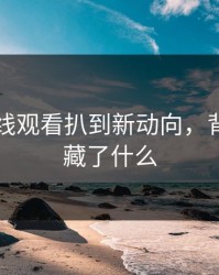 91网在线观看扒到新动向，背后到底藏了什么