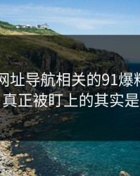 围着91网址导航相关的91爆料转了这么久，真正被盯上的其实是这一步