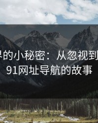 网络世界的小秘密：从忽视到不安——91网址导航的故事