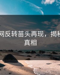 51爆料网反转苗头再现，揭秘背后的真相