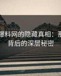 揭秘51爆料网的隐藏真相：那次连麦背后的深层秘密