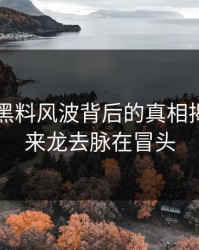 51吃瓜黑料风波背后的真相揭秘：新来龙去脉在冒头