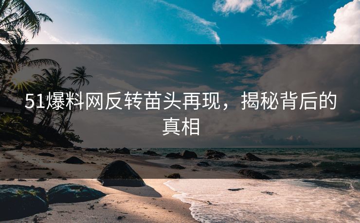51爆料网反转苗头再现，揭秘背后的真相