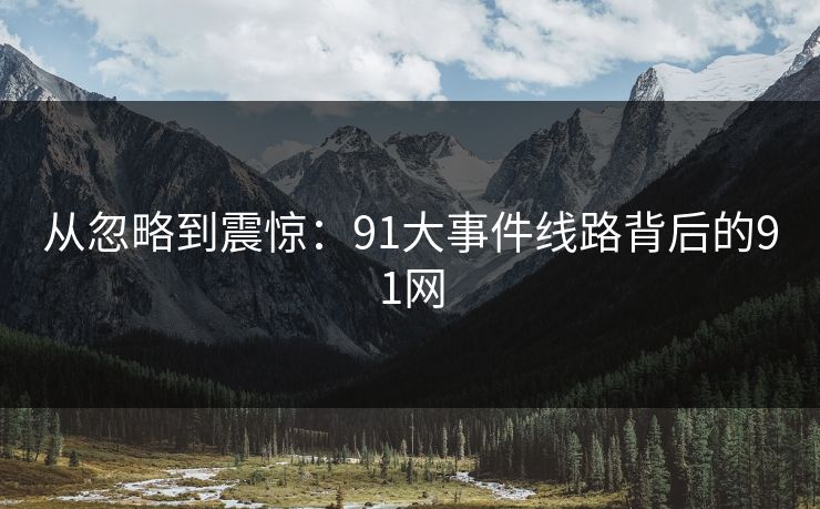 从忽略到震惊：91大事件线路背后的91网