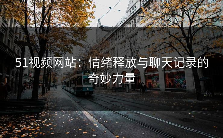 51视频网站：情绪释放与聊天记录的奇妙力量